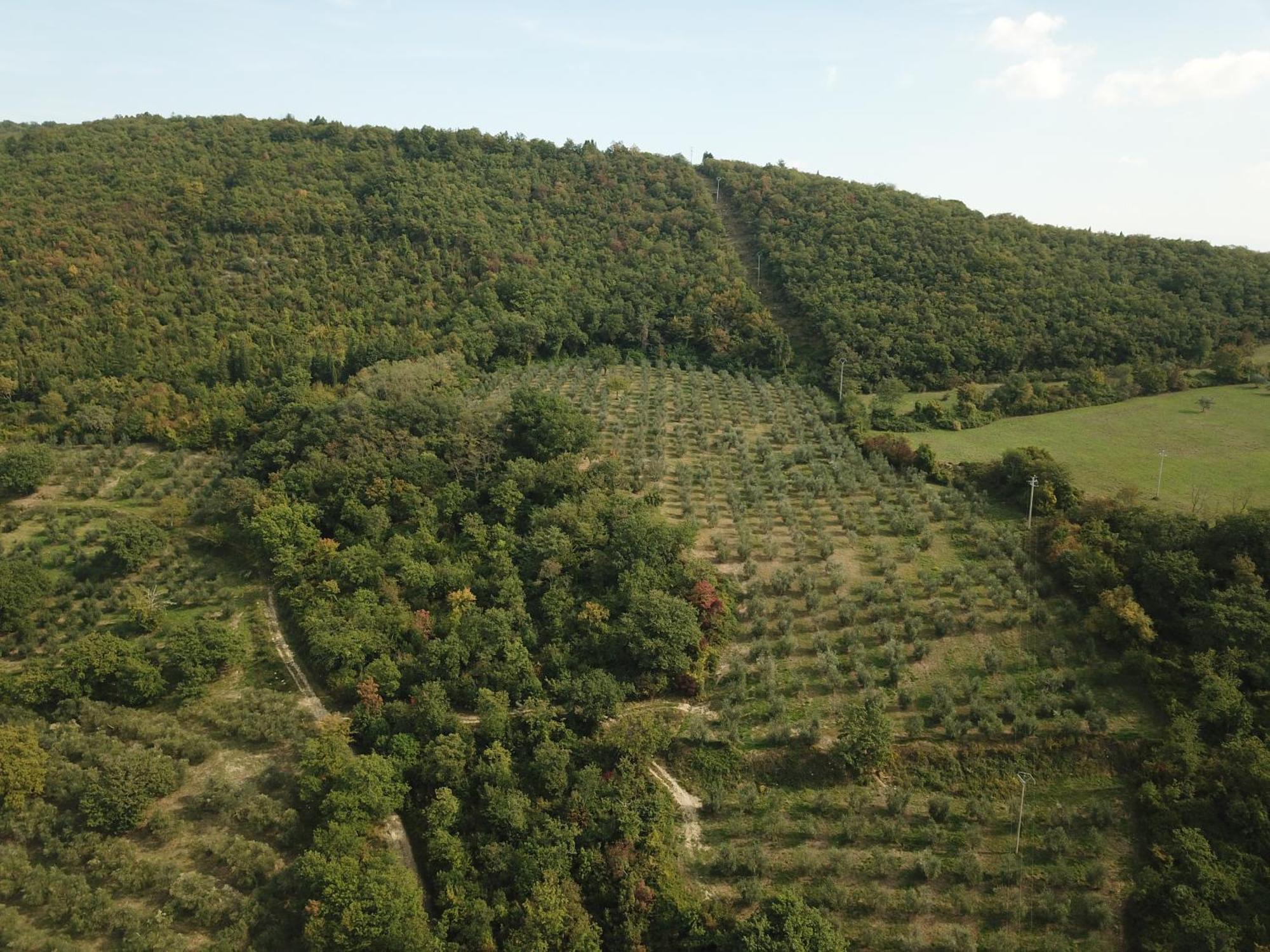 Вілла Fattoria Poggio Di Ф'єзоле Екстер'єр фото